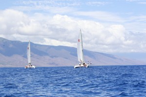 Sail Maui catamarans sailing during whale watch