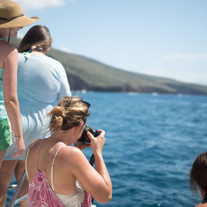 photos-on-a-whale-watching-tour-maui