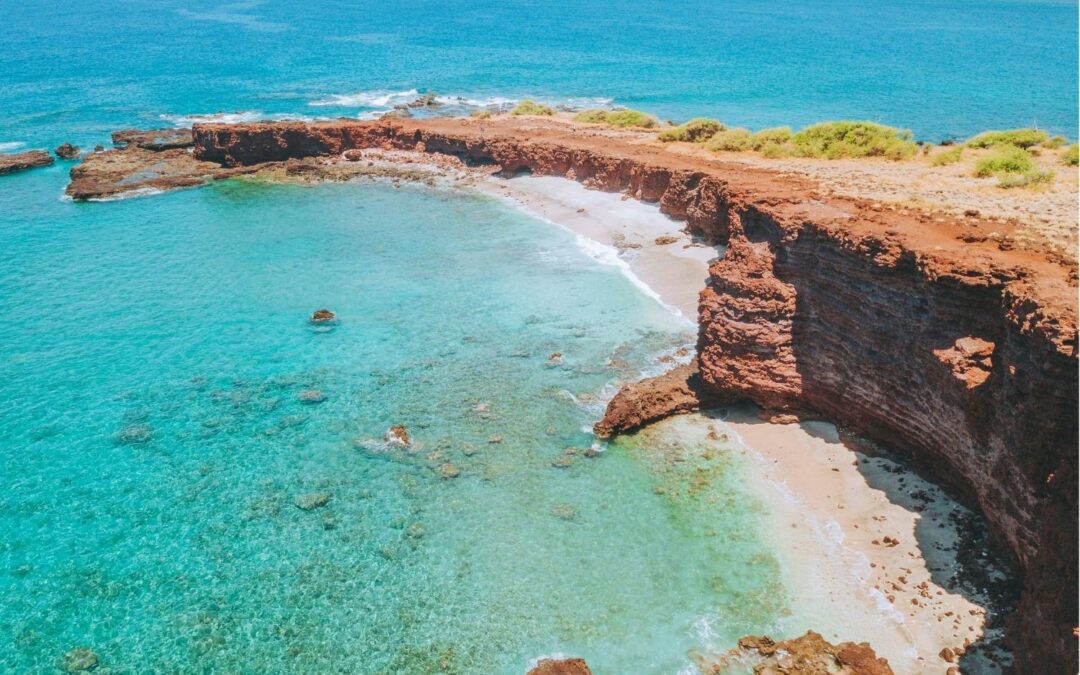 Best Snorkeling Spots in Maui