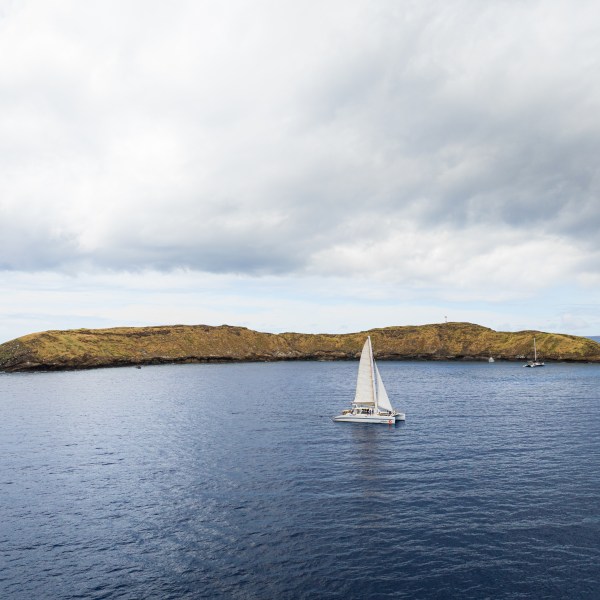 Sailboat on calm sea near a small, grassy island under cloudy sky.