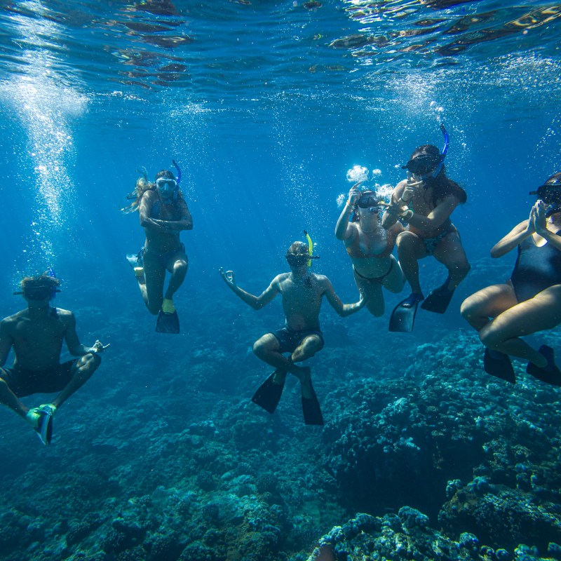 Group of people snorkeling underwater, posing in a meditative posture above a coral reef.