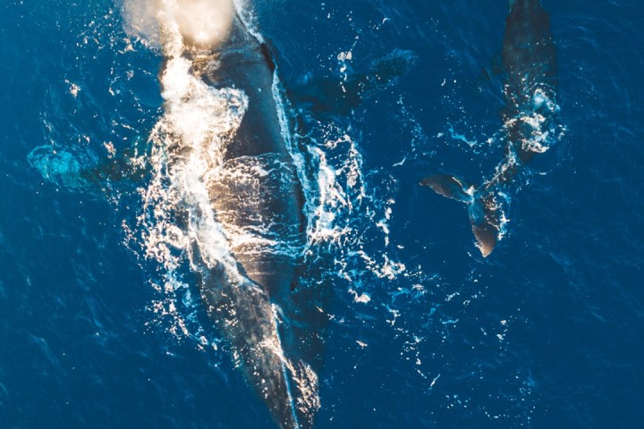 a person swimming in a body of water