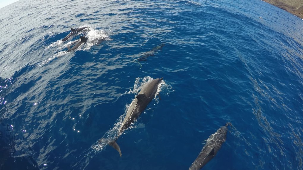 water next to the ocean