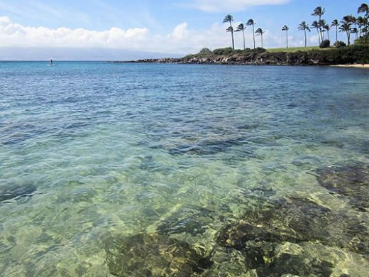 a large body of water