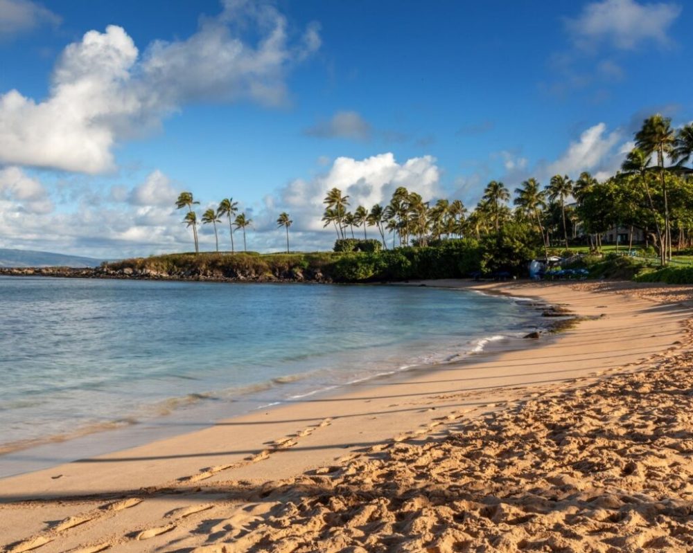 a sandy beach next to a body of water