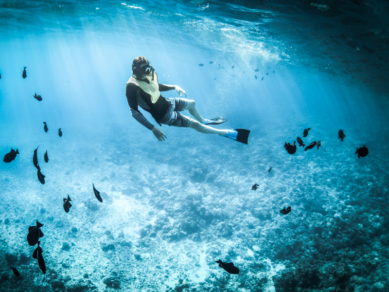 a man with a flock of seagulls in a pool of water