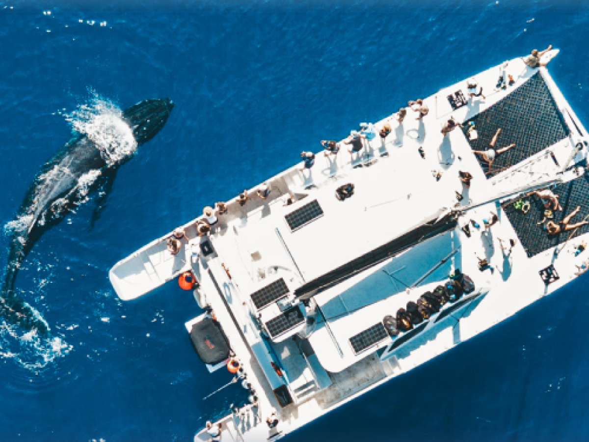 a large ship in the water