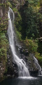 a large waterfall in a forest