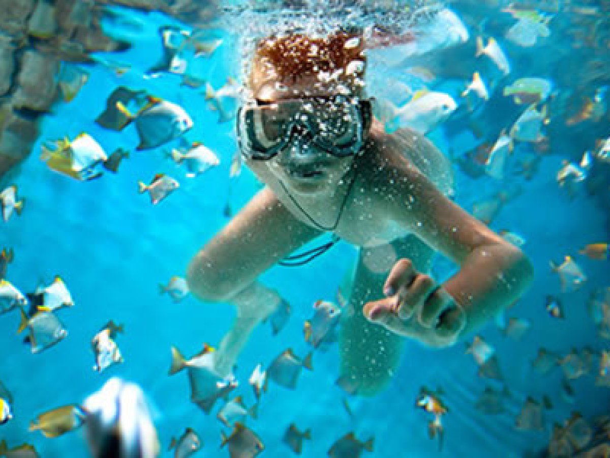 a person swimming in a pool of water