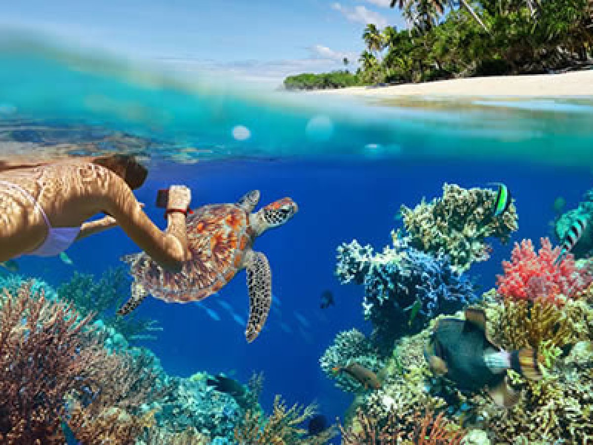 a person swimming in the water