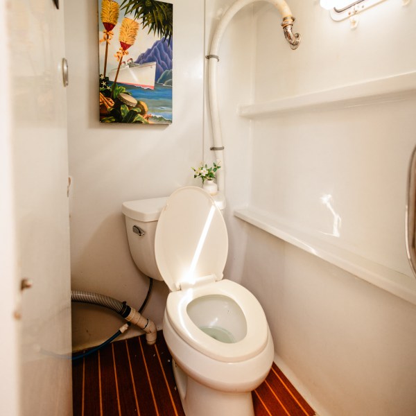 a view of the shower curtain