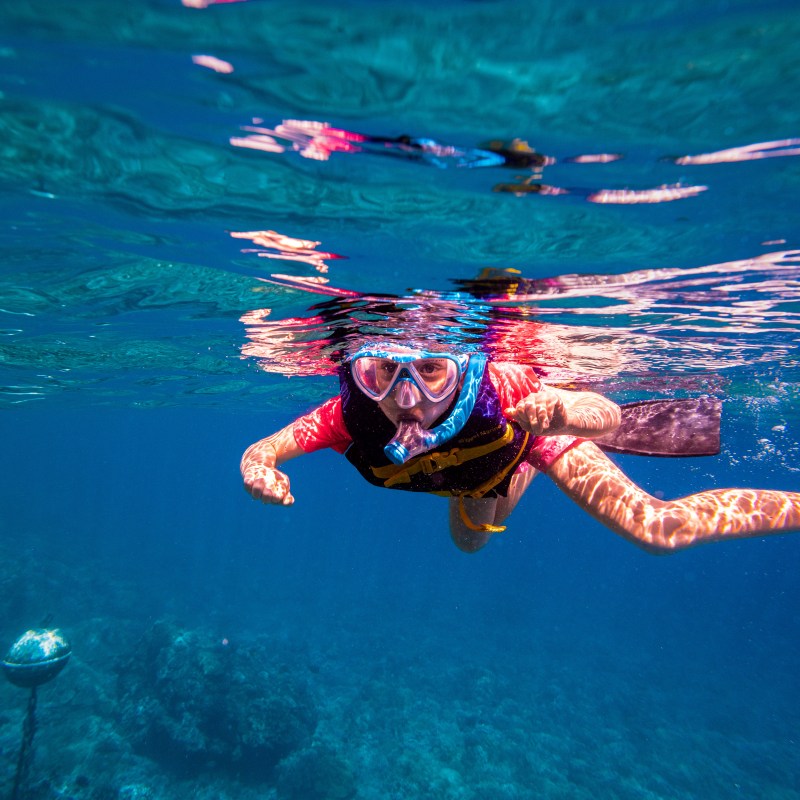 Person snorkeling underwater in clear blue ocean wearing mask and snorkel.