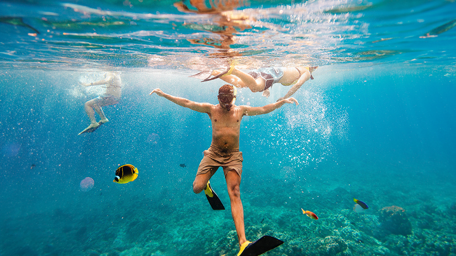 Coral Gardens Snorkel Tour Maui | Sail Maui