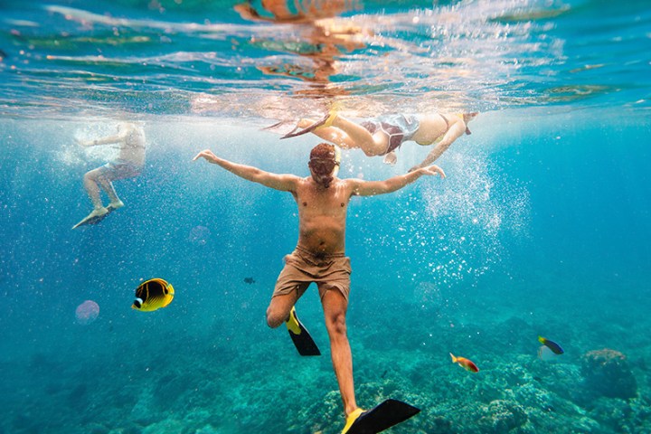 People snorkeling underwater with colorful fish around.
