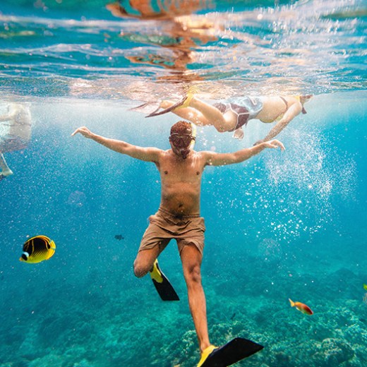 People snorkeling underwater with colorful fish around.