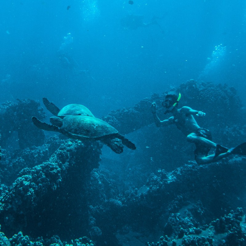 underwater view of a large body of water