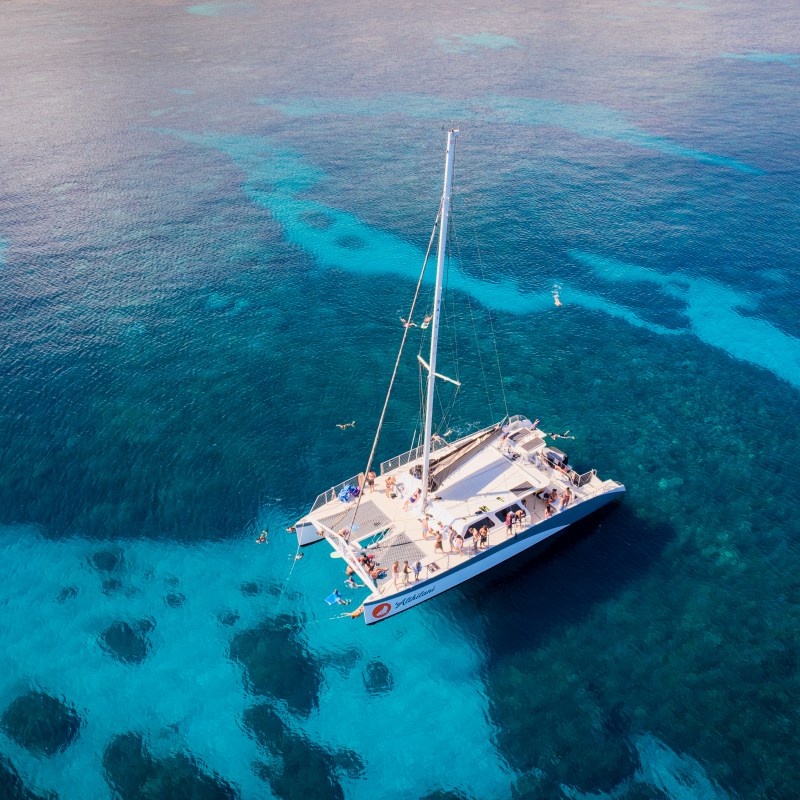 Aerial view of a catamaran sailing on clear blue ocean water.